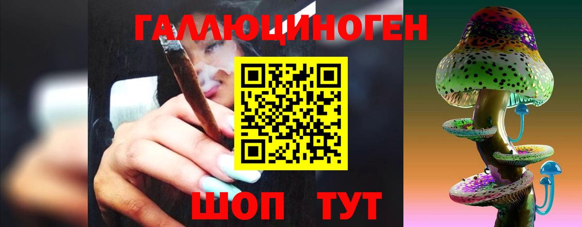 Псилоцибиновые грибы Cubensis  Вход с VPN  Ирбит 